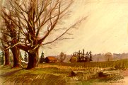 D20401: Just Anywhere - Beautiful Ontario landscapes of freelance scientific illustrator and plein-air artist Patrice Stephens-Bourgeault