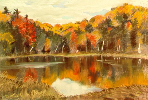 D31001: Fall Reflections - West of Newmarket (north of Toronto), Ontario, Canada. - Beautiful Ontario landscape paintings of freelance scientific illustrator and plein-air fine arts artist Patrice Stephens-Bourgeault