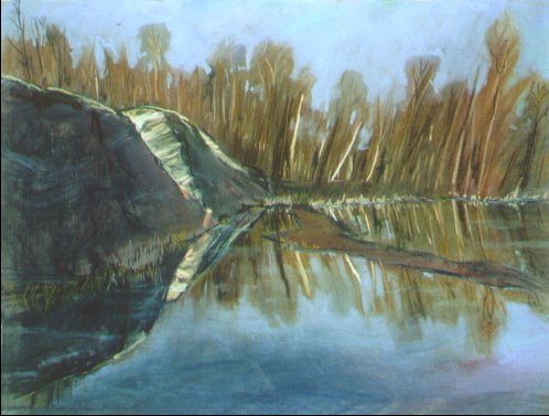 F00401: Frog Rock with Flooded Marsh - Off the Harrison Trail of Twelve Mile Bay, South East of Moon River on the edge of Georgian Bay in the Muskoka Lakes District of Southern Ontario, Canada - Beautiful Ontario landscape paintings of freelance scientific illustrator and plein-air fine arts artist Patrice Stephens-Bourgeault